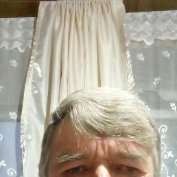 , 53, 