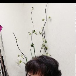 , 53, 