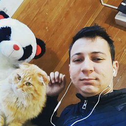 , 28, 