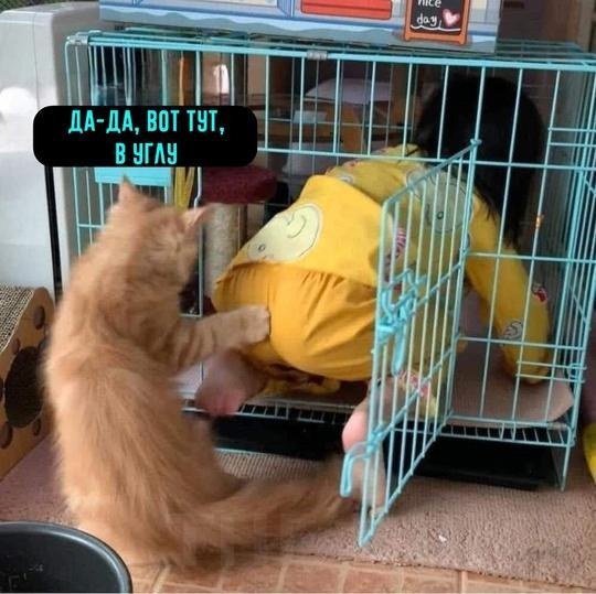 Koa  ooee e pa c oo aee, ee  y: o coe x epepa. Ka  ... - 2
