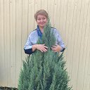 ���� ����, ������, 53 ���� - ��������� 17 ��� 2024 � ������ ���� ����������