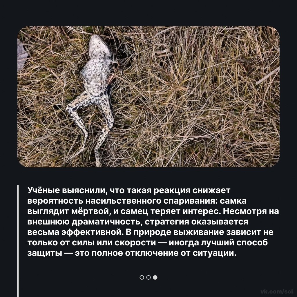 ����������� | ������ | ����� �� 5 - 8 ������ 2026 � 21:26 - 3