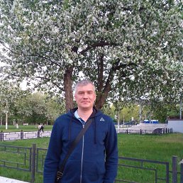 , 43 , 