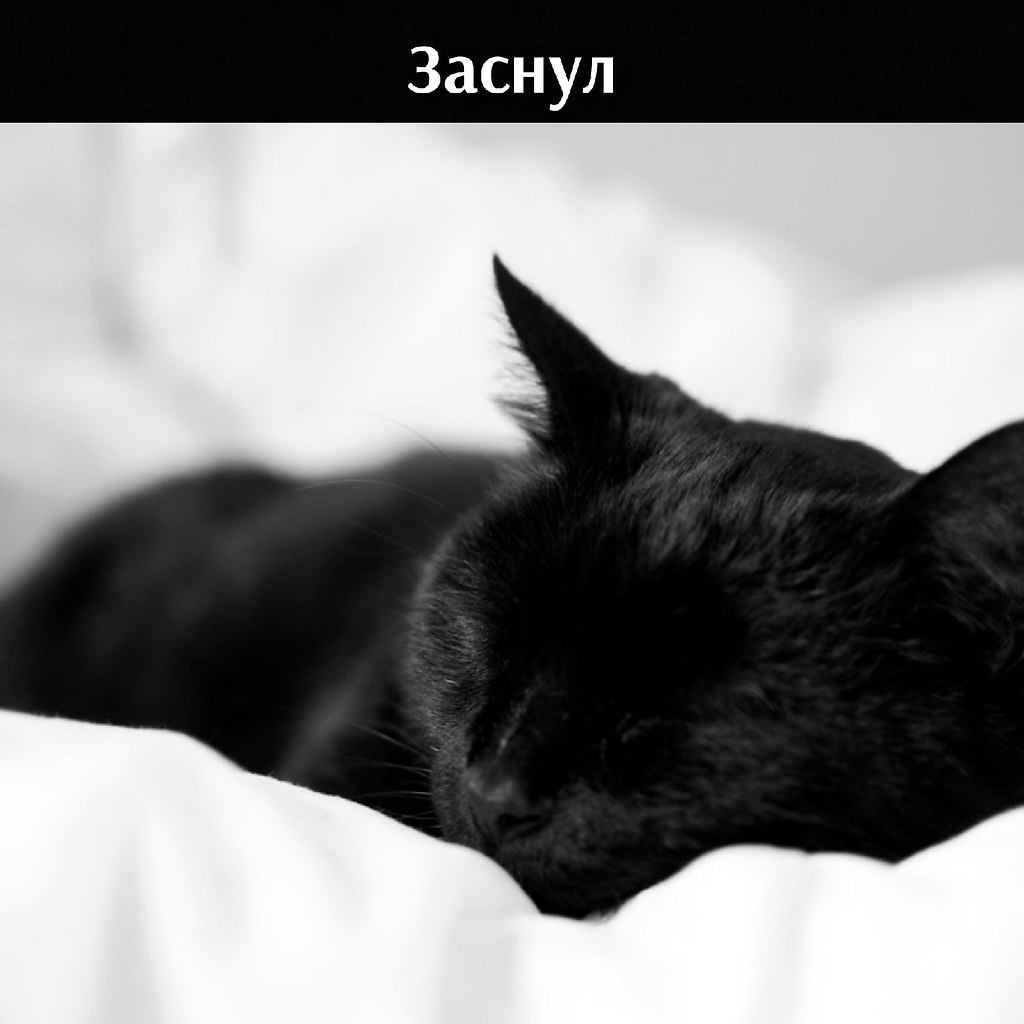 ��� ���� � ����� �� �� - 27 ����� 2026 � 11:00 - 3