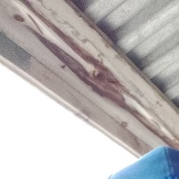 ������, ����-���������, 62 ����