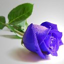 ���� �����, ������, 45 ��� - ��������� 6 ����� 2024 � ������ ���� ����������