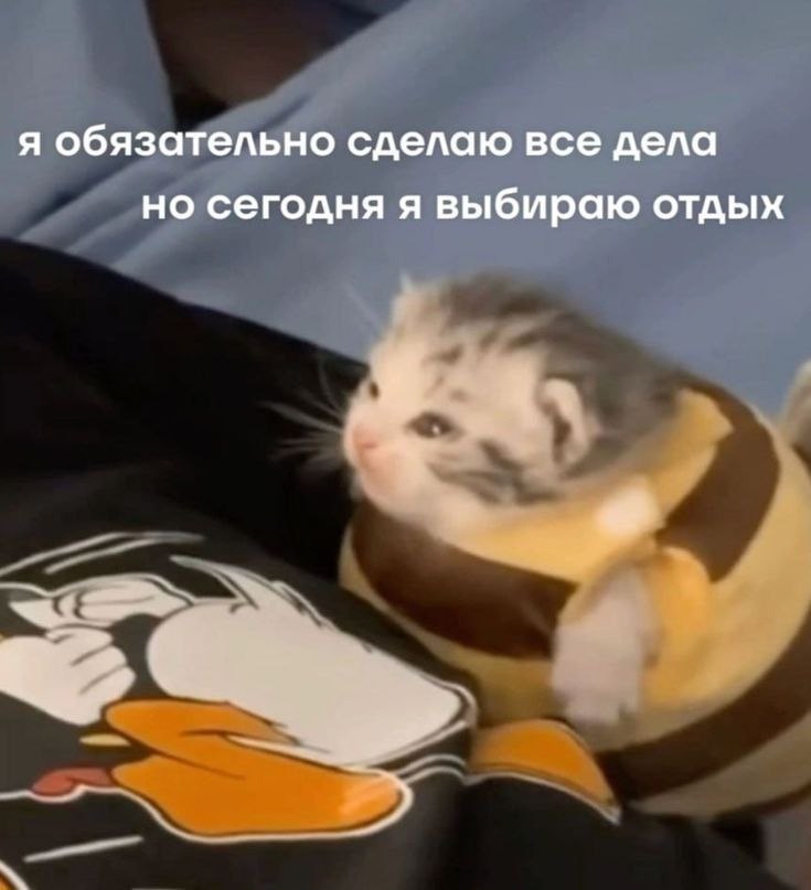 ����� �������� �� ����� ������-��������, ����� ����������: �������� �����, ���������� � ����. � ...