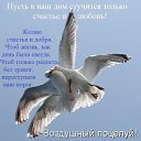 ���� ������� -, �������, 72 ���� - ��������� 28 ������ 2026 � ������ ������ ��������