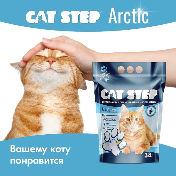     CAT STEP Arctic?   : vk.cc/crn0Ui - 6