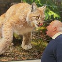 ���� ��������, ������, 66 ��� - ��������� 31 ����� 2024 � ������ ������ ��������