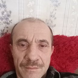 , 57, 