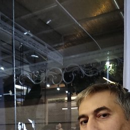, , 44 