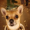 ���� ��������, ���������, 50 ��� - ��������� 13 ������ 2025 � ������ ������ ��������