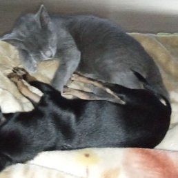 ����, ����, 36 ���