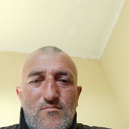 , 50, -