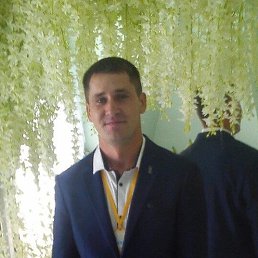 , 33, 