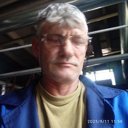  , 53, 
