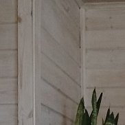 ����, 40 ���, �������