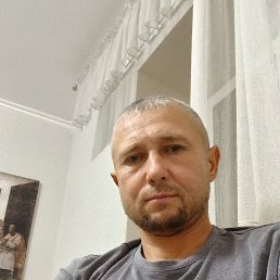 ������, 41 ���, �����