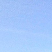 �����, 43 ����, ���������