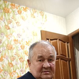 ��������� ���������, 41 ���, ������