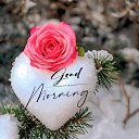 ���� Randar, ������� - ��������� 27 ����� 2026 � ������ ������ ��������