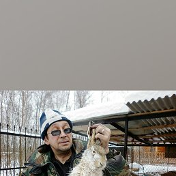 �����, �����������, 61 ���