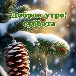 ���� �������, ���������, 44 ���� - ��������� 23 ������� 2026