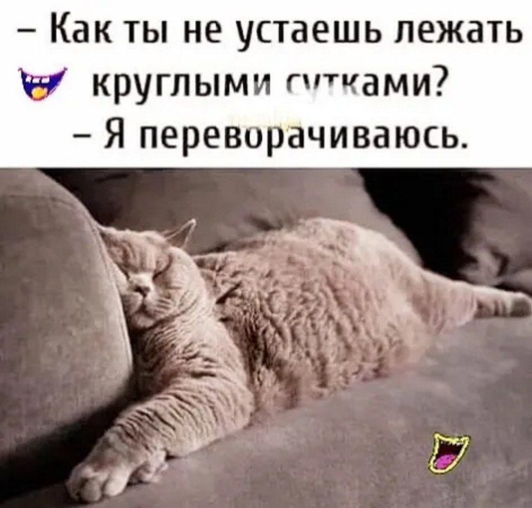 ☆ ☆ - 21  2025  04:14