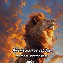 ���� ������, ������, 63 ���� - ��������� 8 ��� 2024