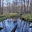 ���� �������, �����, 45 ��� - ��������� 3 ������� 2024 � ������ ���� ����������