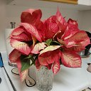 ���� Zoya, Los Angeles, 73 ���� - ��������� 17 ������� 2023 � ������ ���� ����������