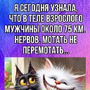 ���� ��������� ������, ����, 60 ��� - ��������� 27 ��� 2025