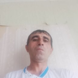 �����, ������, 48 ���