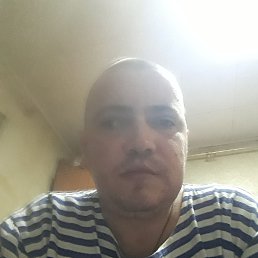 ���� �����, ������������, 33 ���� - ��������� 8 ������ 2026