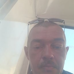 , 44, 