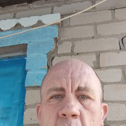 , 41 , 