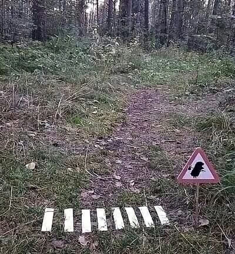 ������ � ��� �� �������... ������ ��� � ������!)