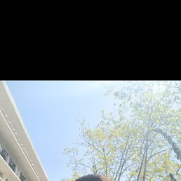 , 41, 