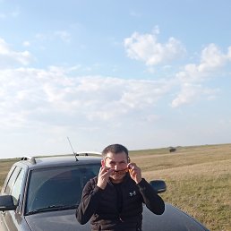 , 41, 