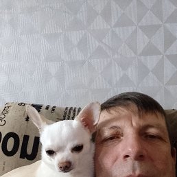 , 48 , -