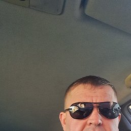 �����, 39 ���, ���������