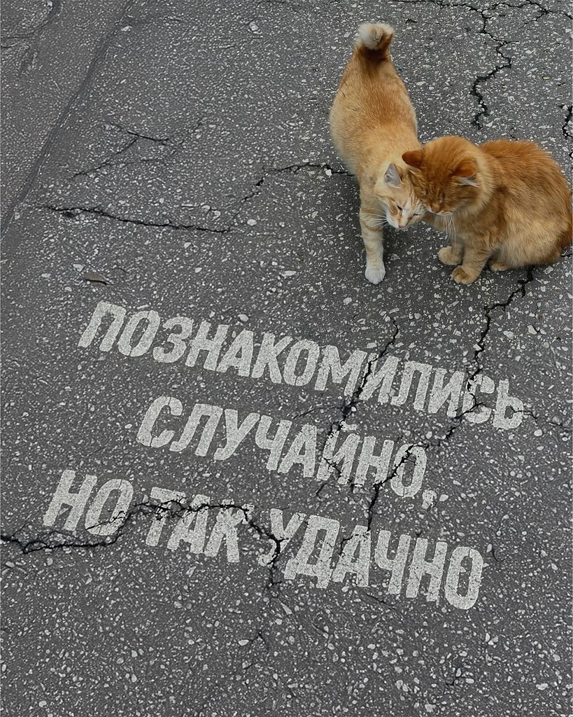 .�������. - 2 ������ 2025 � 02:05 - 5