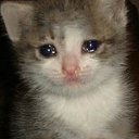 ���� ������, �����������-��-�����, 24 ���� - ��������� 18 ������ 2025 � ������ ���� ����������