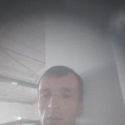 Zohir, �������, 40 ���