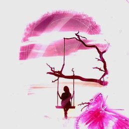 �������, �����, 43 ����