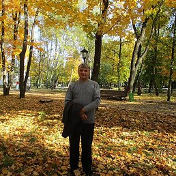 ������, �������, 58 ���