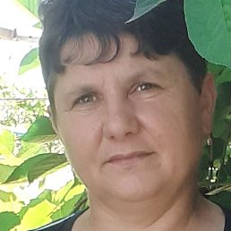 �������, ������, 49 ���