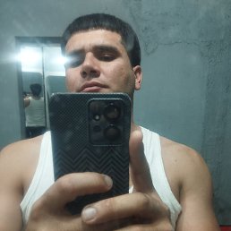 , 29, 