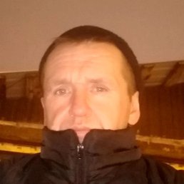 , 42, 